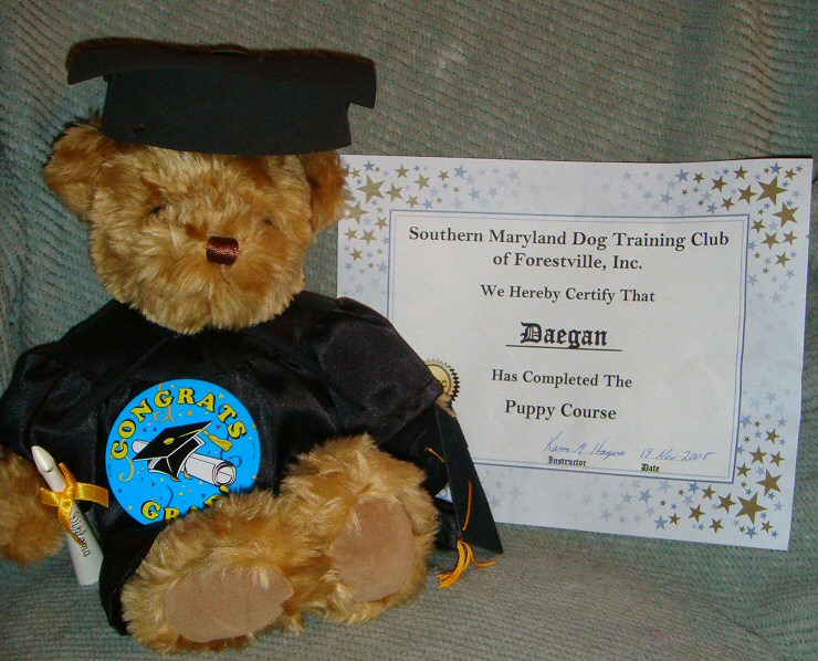 daegan teddy puppy graduated awarded kindergarten bear being november 2008